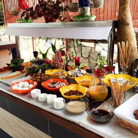 Ξενοδοχείο με διαμερίσματα Almila