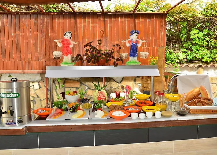 公寓式酒店 Almila 2*